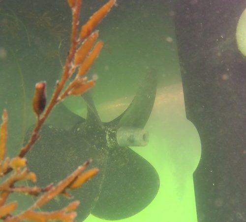 inspection subaquatique robot